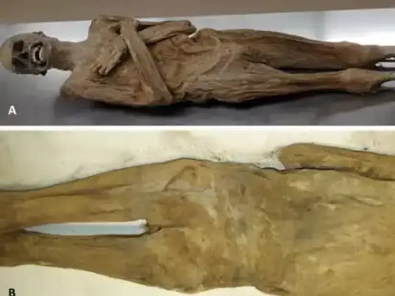 Kurutulmuş Papazın Mumyası Üzerine Şok Edici Keşif: Eski Mısır’dan Farklılıklar