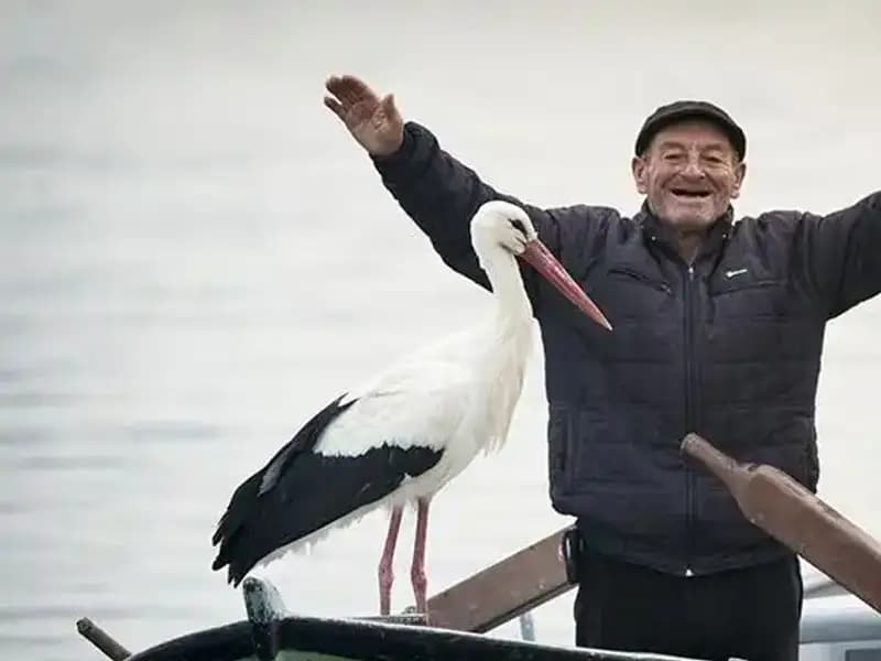 Yaren Leylek’in İzinde: Doğa Fotoğrafçısı Alper Tüydeş ile Canlı Yayın Dönemi