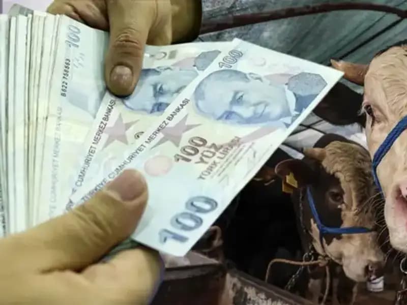 Bayram Müjdesi: Emekli ve Memur Maaşları Ne Zaman Yatacak?