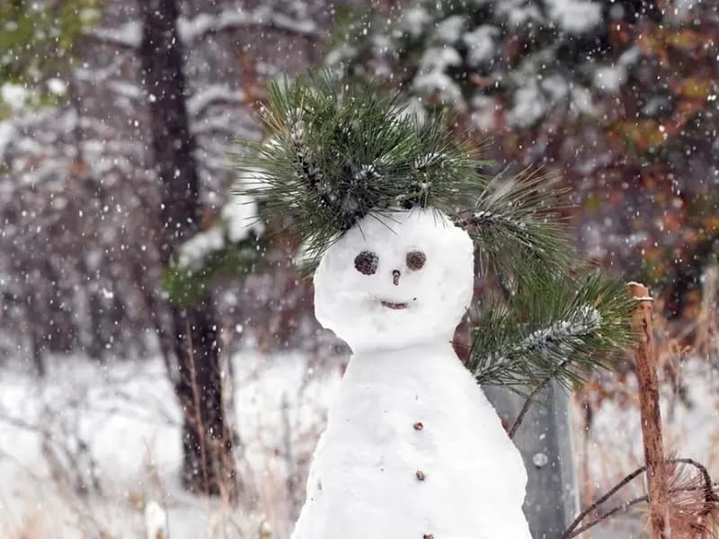 Hava Durumu: Başkentte kar, Megakentte yağmur bekleniyor