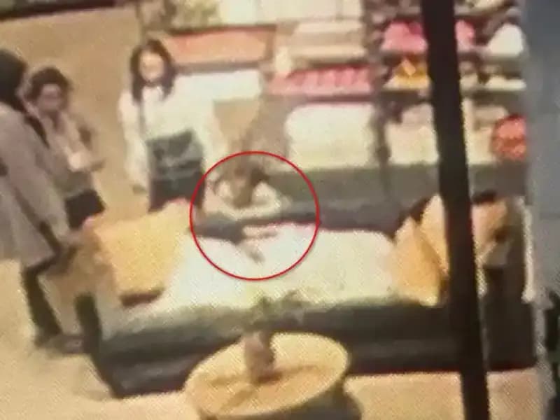 AVM'de 3 Yaşındaki Çocuğa Köpek Saldırısı: Olayın Detayları