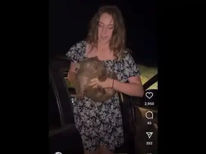 Yavruyu Anneden Ayırdığı Anlar: Bir Ailenin Dramı ve Göç Hikayesi