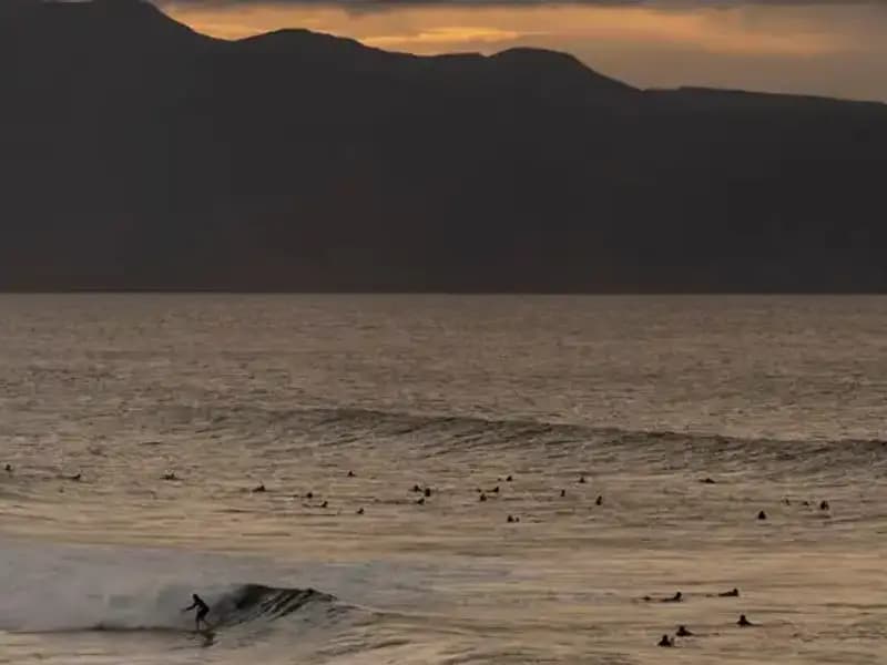 Büyük Depremin Ardından Egzotik Yaratıkların Gizemi Ortaya Çıktı