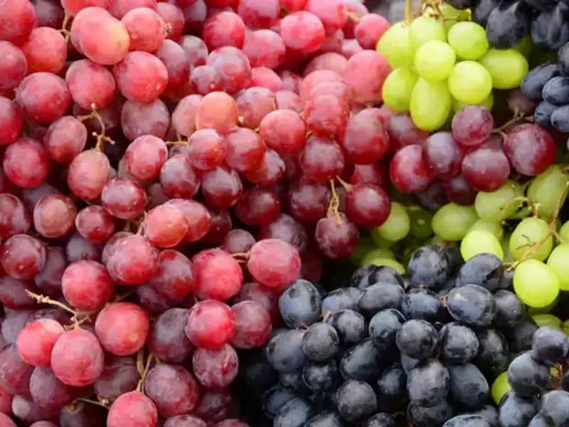 Yeşil Üzüm Mü, Siyah Üzüm Mü? Sağlıklı Beslenmenizde Hangi Seçenek Öne Çıkıyor?