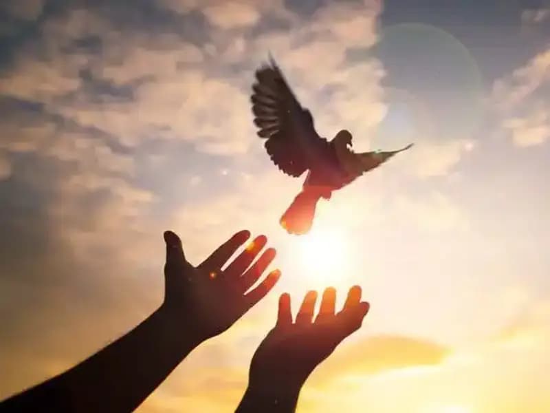 Cuma Günü İçin Anlamlı Mesajlar: Kısa ve Uzun Cuma Sözleri