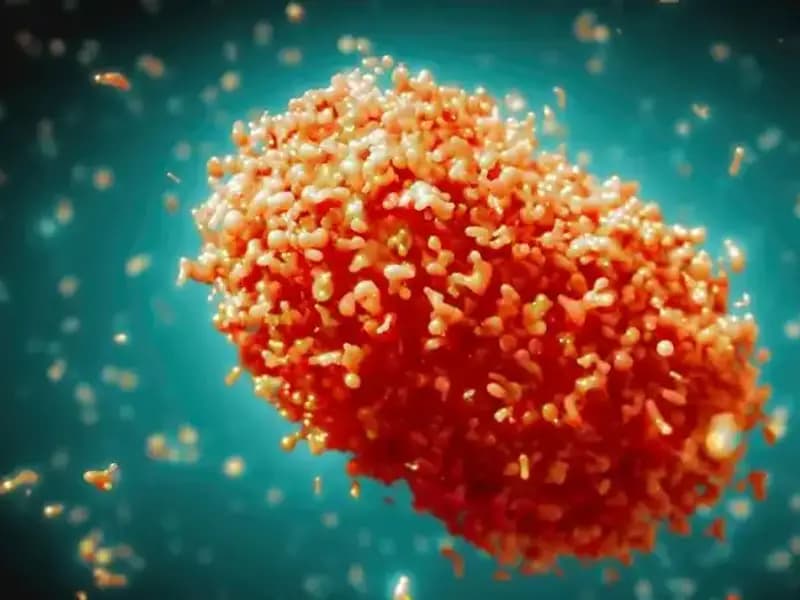 Maymun Çiçeği Vakalarında Şok Artış: Sağlık Otoritelerinden 12 Günlük Karantina Kararı