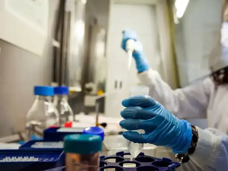 Bilim İnsanları Karaciğer Kanserinin Gizemini Çözmek Üzere Çarpıcı Bir Keşif Yaptı