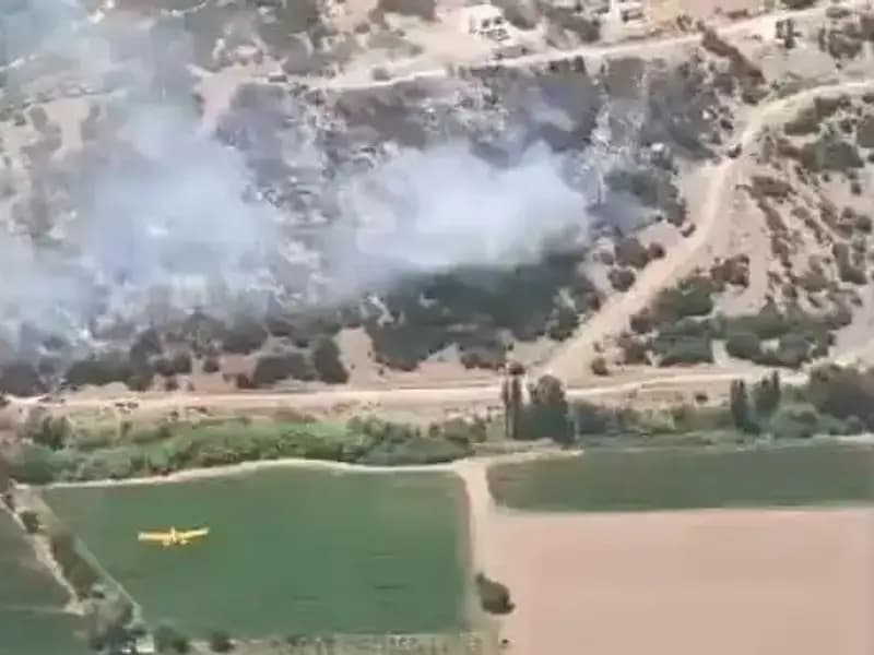 Milas’taki Yangın Kontrol Altına Alındı: Çalışmalar ve Son Durum