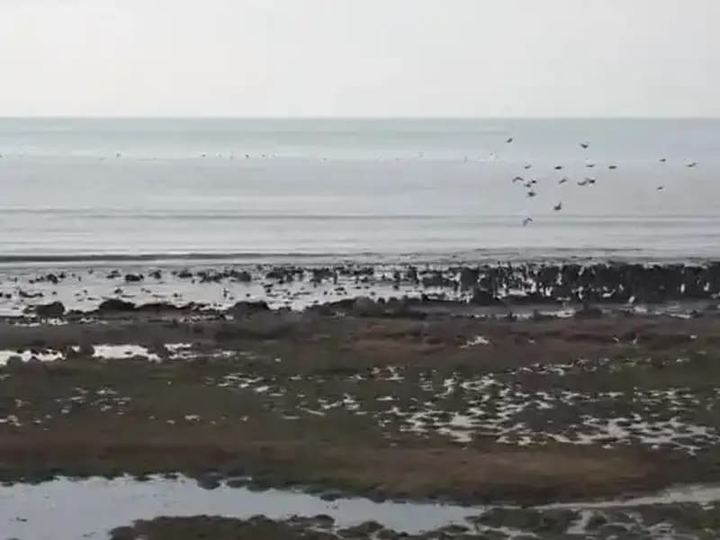 Türkiye’nin En Büyük Gölü Kayıp Yaşıyor: Tehlikeli Su Seviyesi Düşüşü