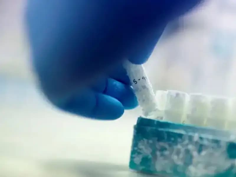 Tıbbi Felaket: 85 Sperm Donörüyle Binyıllık Baba Olma İddiası