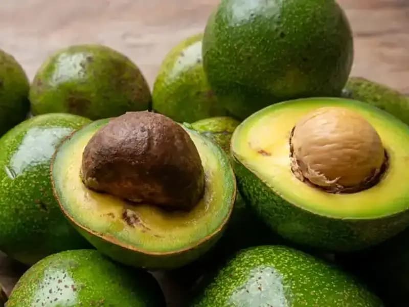 Avokado Çekirdeğinin Bilinmeyen Faydaları: Sağlık ve Güzellik İçin Mucizevi Bir Kaynak