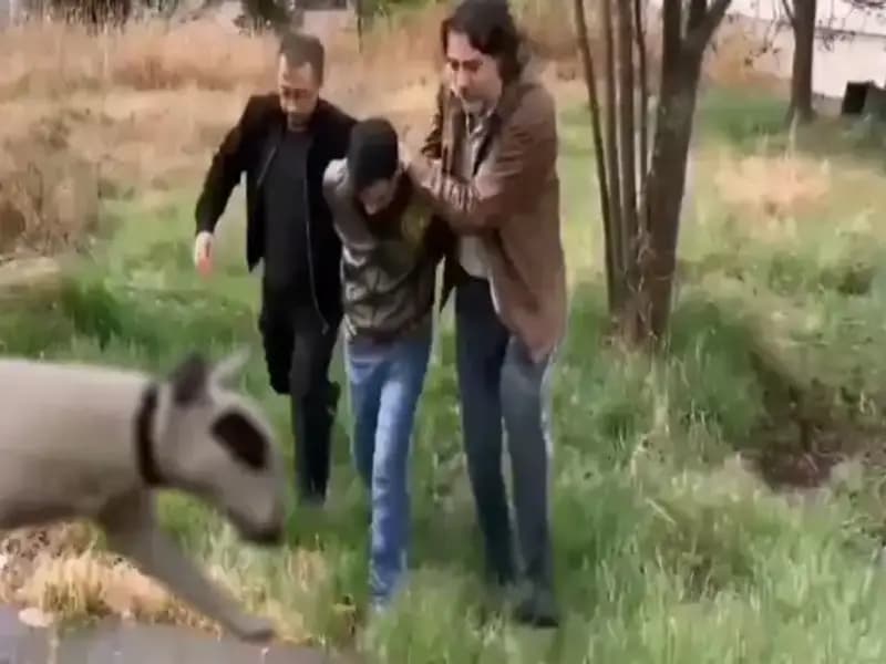 430 Bin Lira Değerindeki Şampiyon Köpek Hırsızı Yakalandı