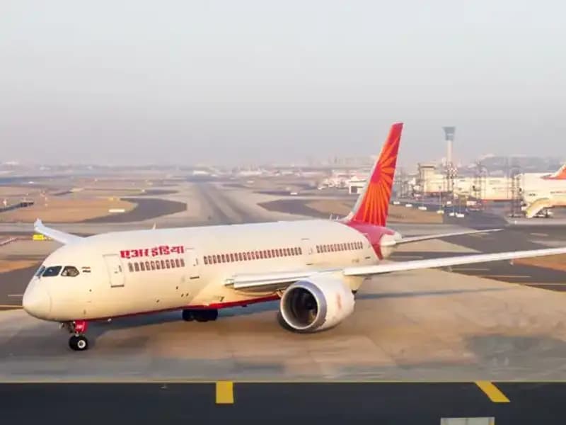 Valizden Çıkan Aşırı Sıradışı Yılan ve Kaplumbağalar Hayrete Düşürdü!