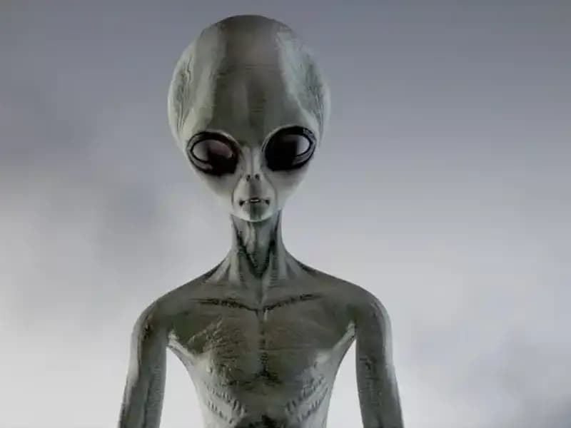 Pentagon'un Uzaylı Türleri Açıklaması: UFO Operatörleri Belirginleşiyor