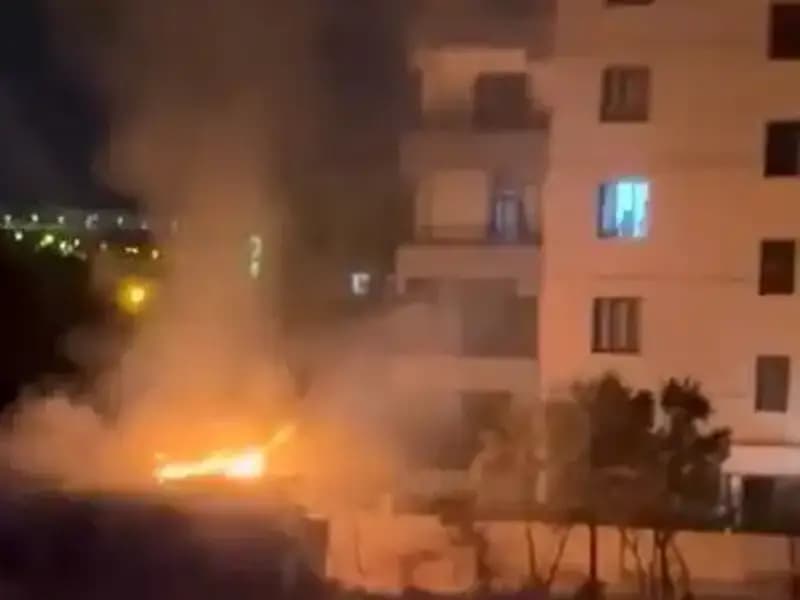 Elazığ'da Kümes Yangını: Yüzlerce Tavuk Telef Oldu, Çiftçiler Üzgün