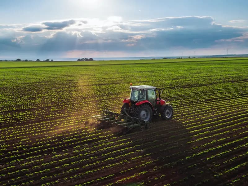 Ekonomik Büyüme Tarım Sektörünü Neden Kurtaramıyor? Derinlemesine Analiz