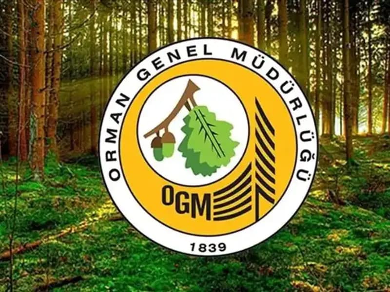 2025 OGM İşçi Alımı Kura Çekimi Sonuçları Neden Beklentileri Aşırı Heyecanlandırıyor?