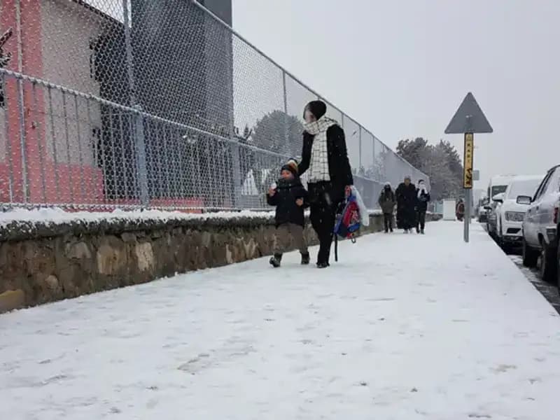 İlkbahar Ortasında Kış Baskını: Şok Eden Beyaz Manzara