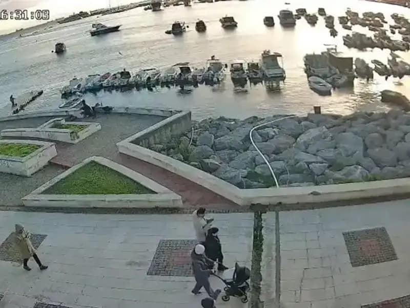 Kedinin Başına Gelen, Balık Avındaki Adamı Şaşırttı!