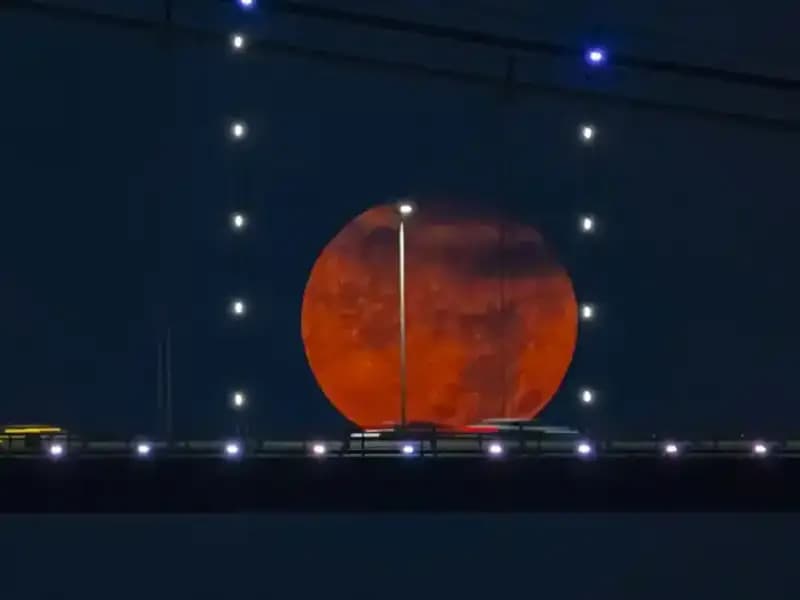 Dolunay Gecesi: Doğa Harikalarıyla Dolu Bir Manzara