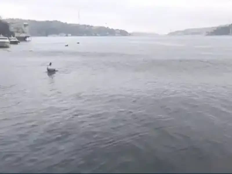 İstanbul'da 6.2 Büyüklüğündeki Deprem: Denizde Neler Oluyor?