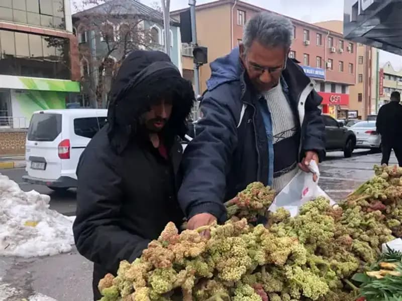 Kendiliğinden Yetişen Vitamin Deposuna Dikkat: Kanserin Yeni İlaç Adayı!