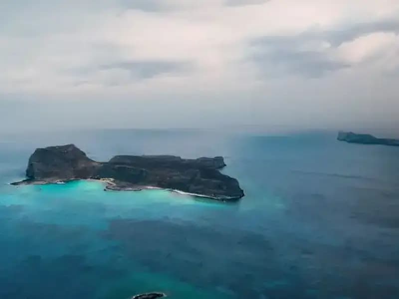 Kayıp Sörfçü Okyanusta Geceyi Geçirerek Mucizevi Bir Şekilde Kurtuldu