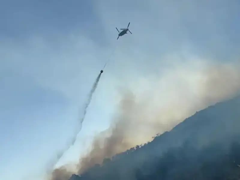 Söke'deki Orman Yangını Kontrol Altına Alındı, İşte Detaylar!