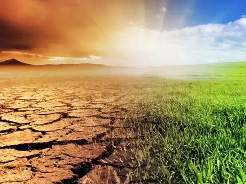 İklim Kanunu: Geleceğimizi Şekillendiren Yeni Çerçeve