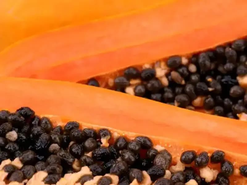 Aç Karnına Yemek: Vücudun Doğal Temizlenmesini Sağlayan Gizli Bir Yöntem