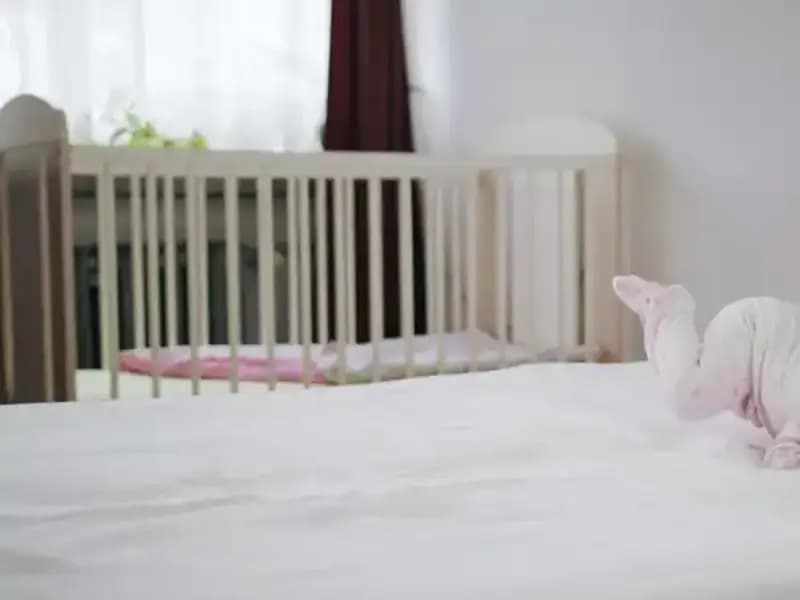 Bebek Yataklarında Gizli Tehlike: Sağlığınızı Tehdit Eden Malzeme!