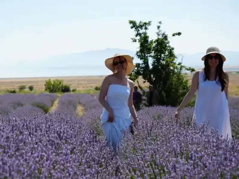 Göl Manzarasında Mor Renkli Bahçe Hasadı: Doğanın Eşsiz Hediye