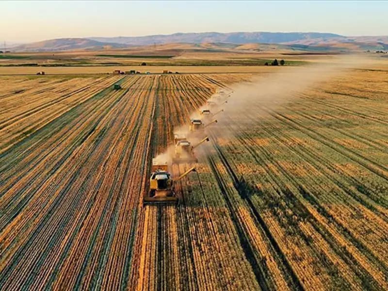 Tarımsal Destekleme Ödemeleri Hesaplara Yatırıldı