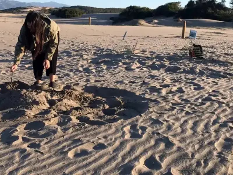 Gece Sahil Girişlerine Yasak: Cezası 557 Bin TL!