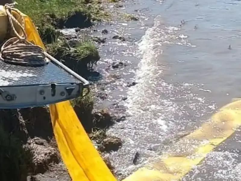 Göletlere Bırakılan Yavru Balıklarla Ekosistem Yenileniyor