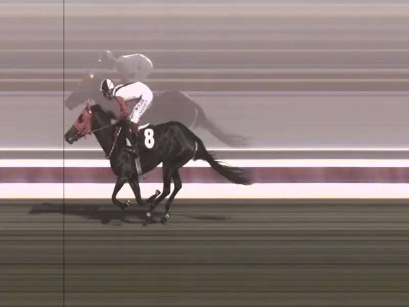 Mersin'de Kavurmada Kullanılan Atın Kimliği Açıklandı