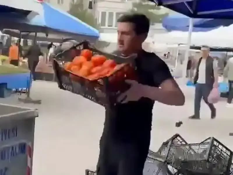 Pazarcının Domatesleri Çöpe Dökmesi, Cezasıyla Göz Doldurdu!