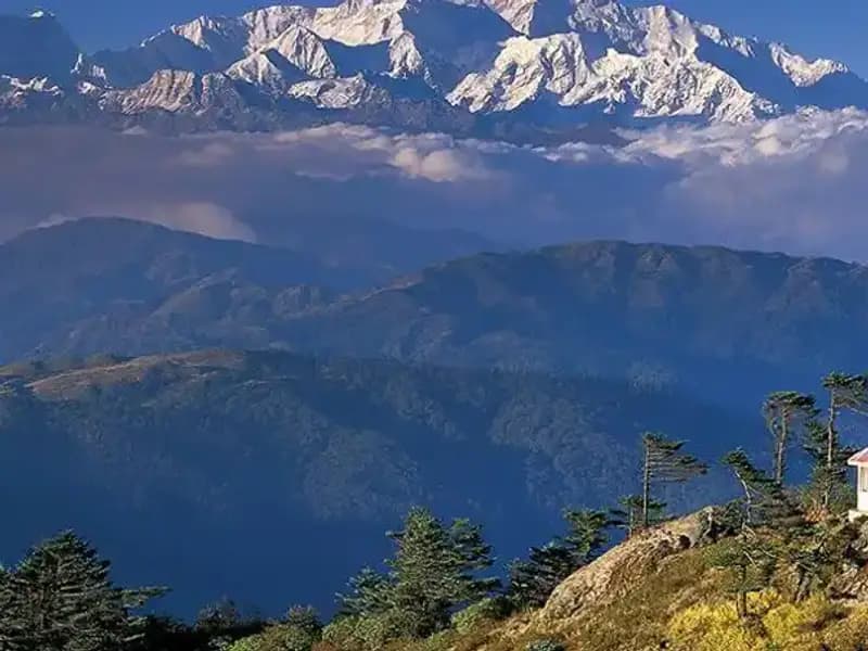 Pakistanlı Kadın Dağcı, Dünyanın En Yüksek 12 Zirvesini Fethetti