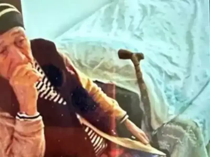 Anneannesini "gezmeye" çıkardı, bastonla kan donduran cinayet işledi!