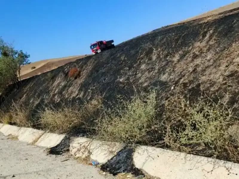 Elazığ'da Geniş Alanda Yangın: Otluk Alanlar Küllerle Örtüldü