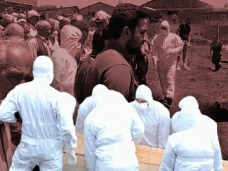 Bu Kış Yağışlar Kene Popülasyonunu Artırabilir mi?