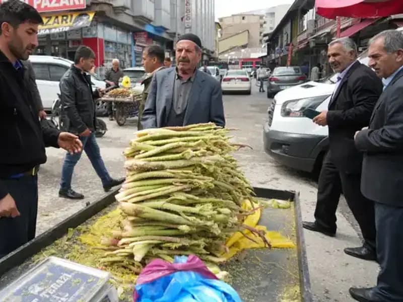 Dağlık Alanlardan Toplanan Şekerin Sağlığa Faydaları: Kanser ve Mide Hastalıklarına Etkisi