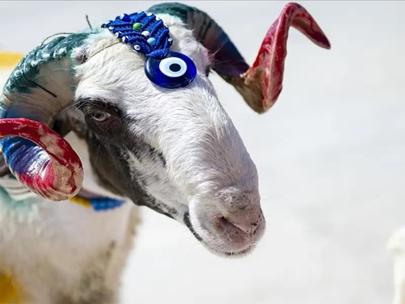 2026 Kurban Bayramı Ne Zaman? Bayram Tatili 9 Gün Olacak mı?