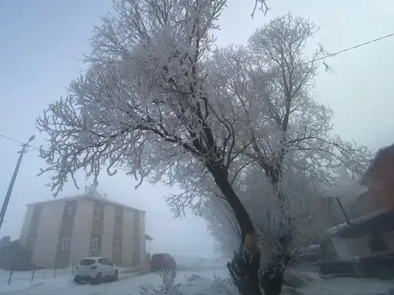 Göle Gölü Rekor Düşük Sıcaklıkla Dondu: Eksi 18 Dereceyi Gördü!