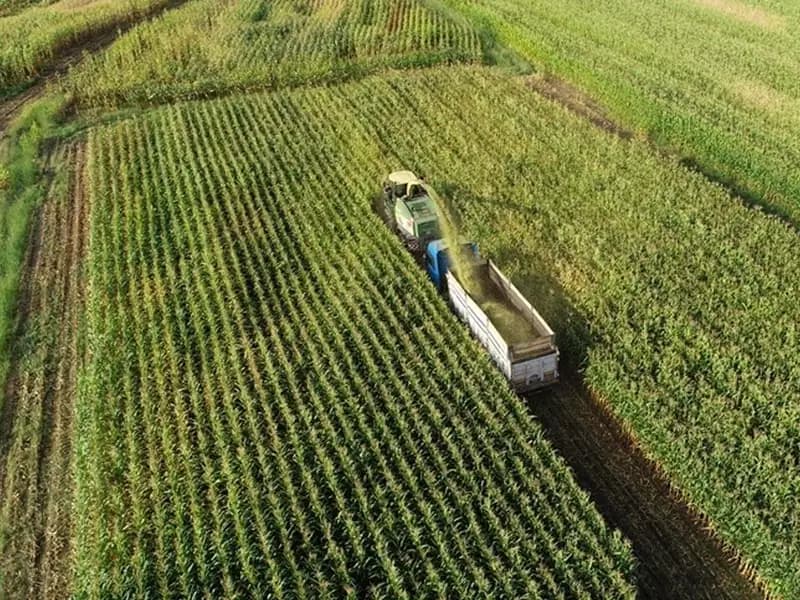 Tarım üreticilerine rekor destekleme ödemesi