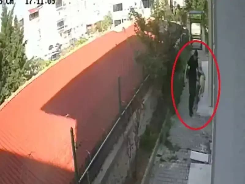 Veteriner Doktorun Şok Edici Suçlaması: Sahiplendiği Köpekleri Katletti!