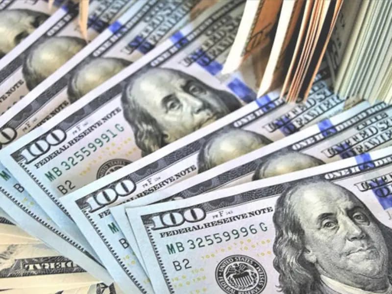 Merkez Bankası Rezervleri Rekor Seviyeye Ulaştı