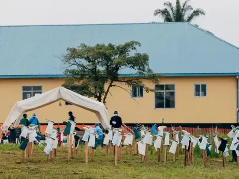 Marburg Virüsü Salgını Resmen Sona Erdi: DSÖ Açıklama Yaptı