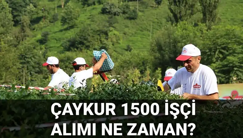 Çaykur İşçi Alımı Başvuru Tarihleri Belirlendi! Fırsatlar Kaçırılmamalı