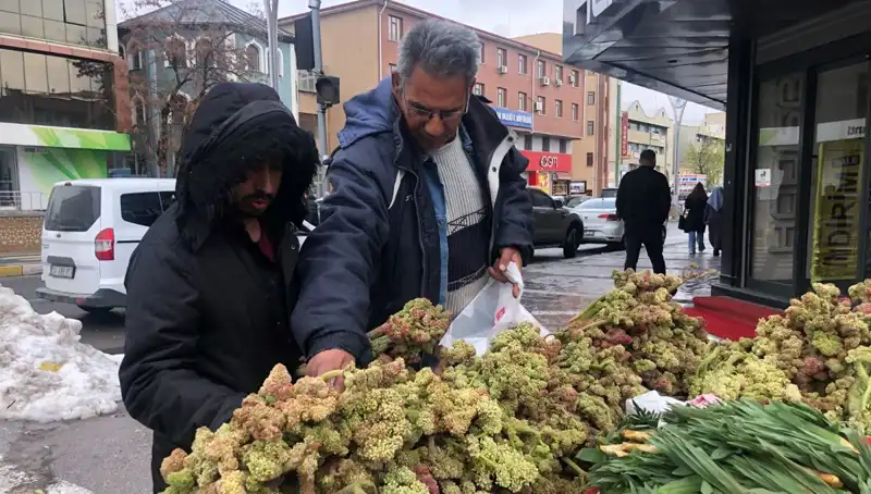 Kendiliğinden Yetişen Vitamin Deposuna Dikkat: Kanserin Yeni İlaç Adayı!